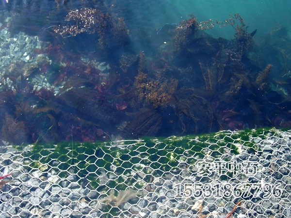 鍍高爾凡格賓網 鍍高爾凡格賓網